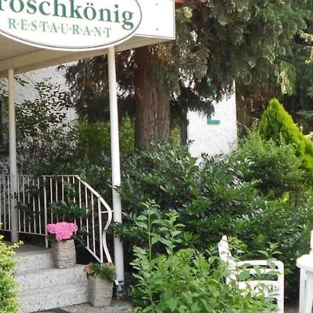 Hotel Froschkoenig Battenhausen